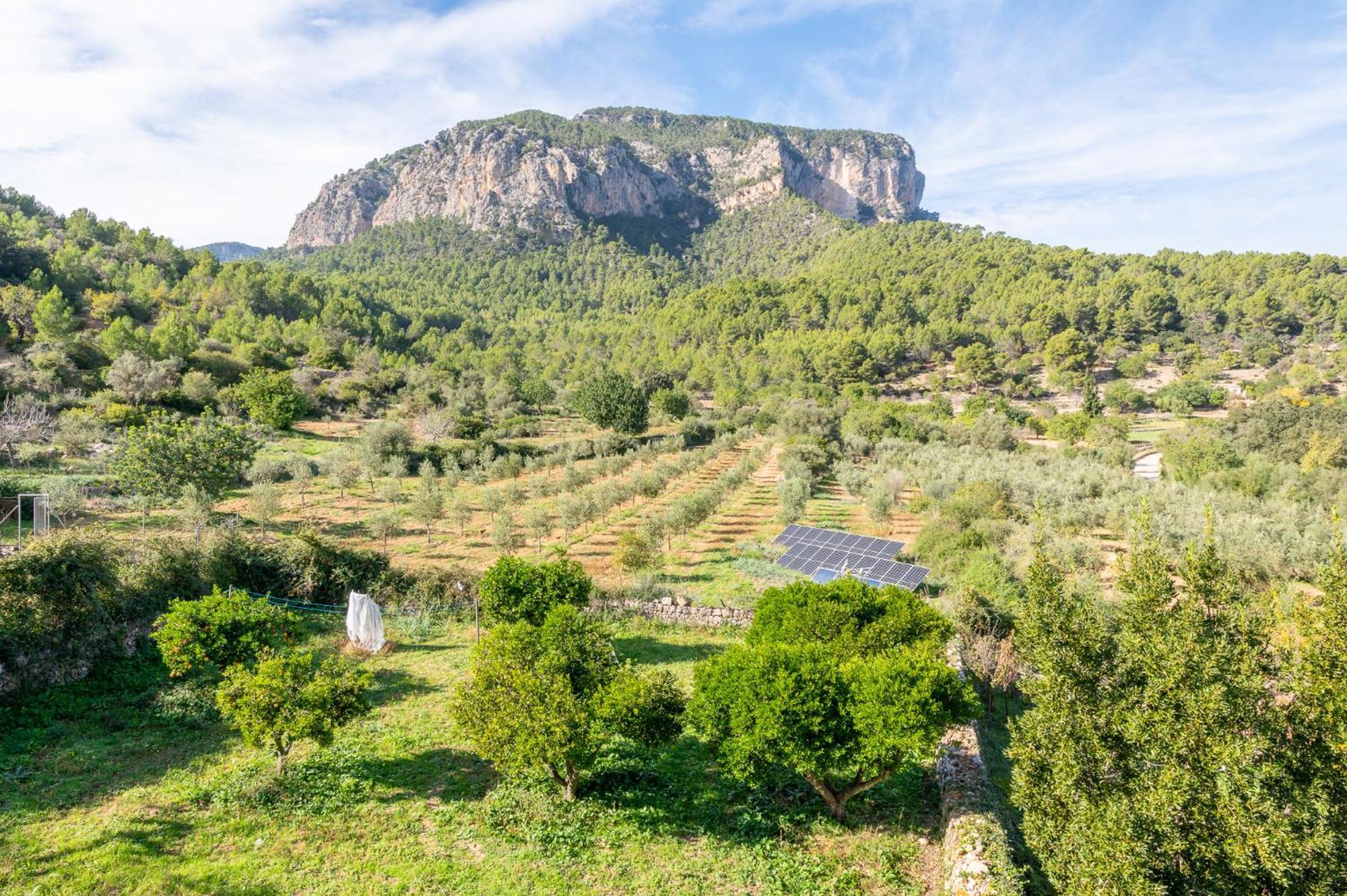 Agroturismo Filicumis By Mhr Льосета Экстерьер фото